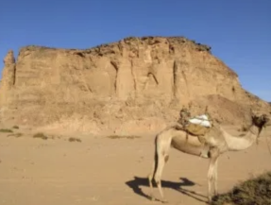 The International Kurru Archaeological Project is back in the field!